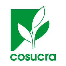 cosucra management visuel