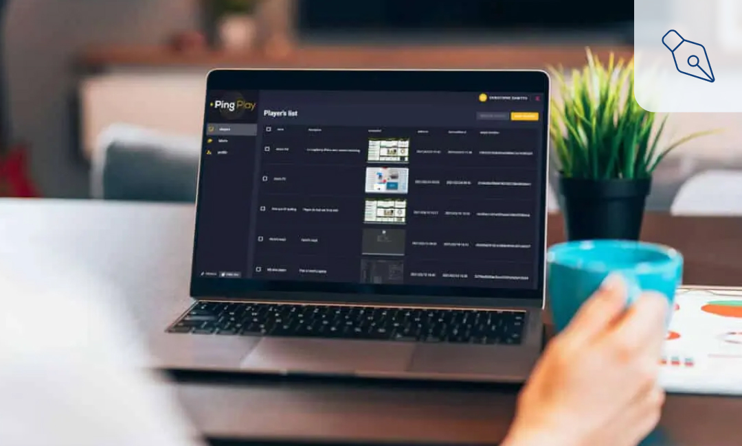 interface Pingplay de Pingflow