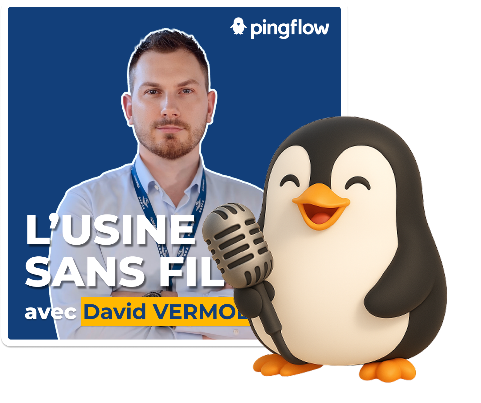 pingouin podcast Vignette de l'épisode de podcast avec David Vermoesen